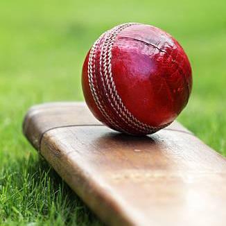 Cricket